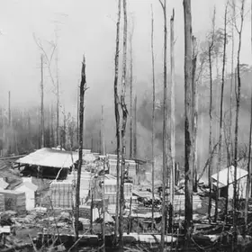 Children's account of the 1939 fires