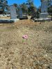 Sarah Hardwick's grave